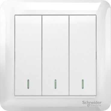 Schneider Affle Plus 10A X 250V 3G 1W Switch We [8Pcs/Inner, 96Pcs/Ctn]