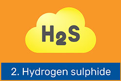 Hydrogen sulphide